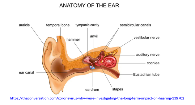 Right ear feels blocked 2025 and ringing
